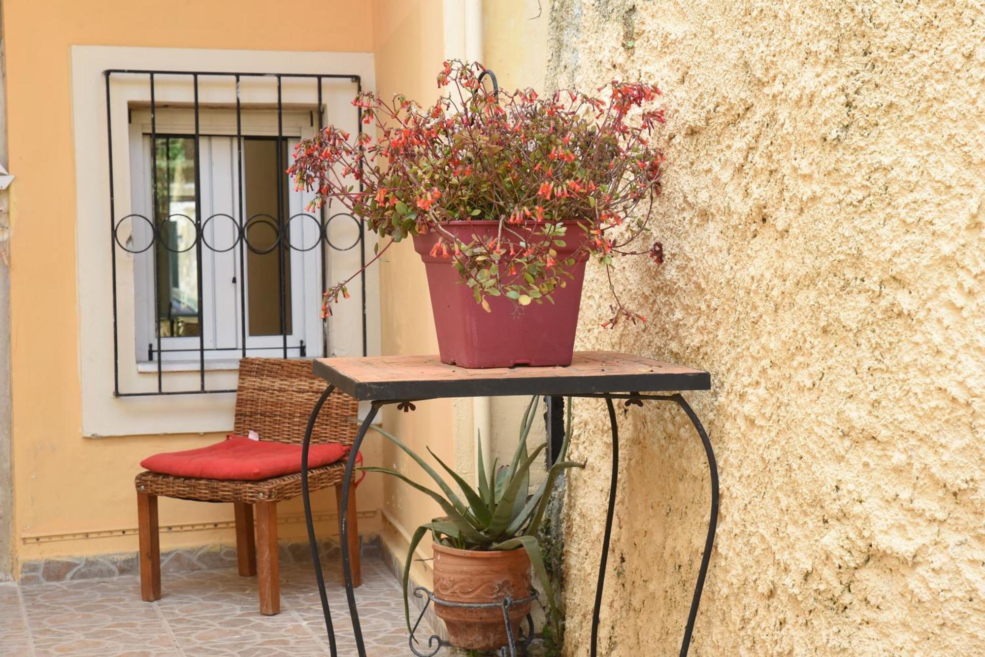 Villa Maxim In Corfu Town Anemomylos 外观 照片